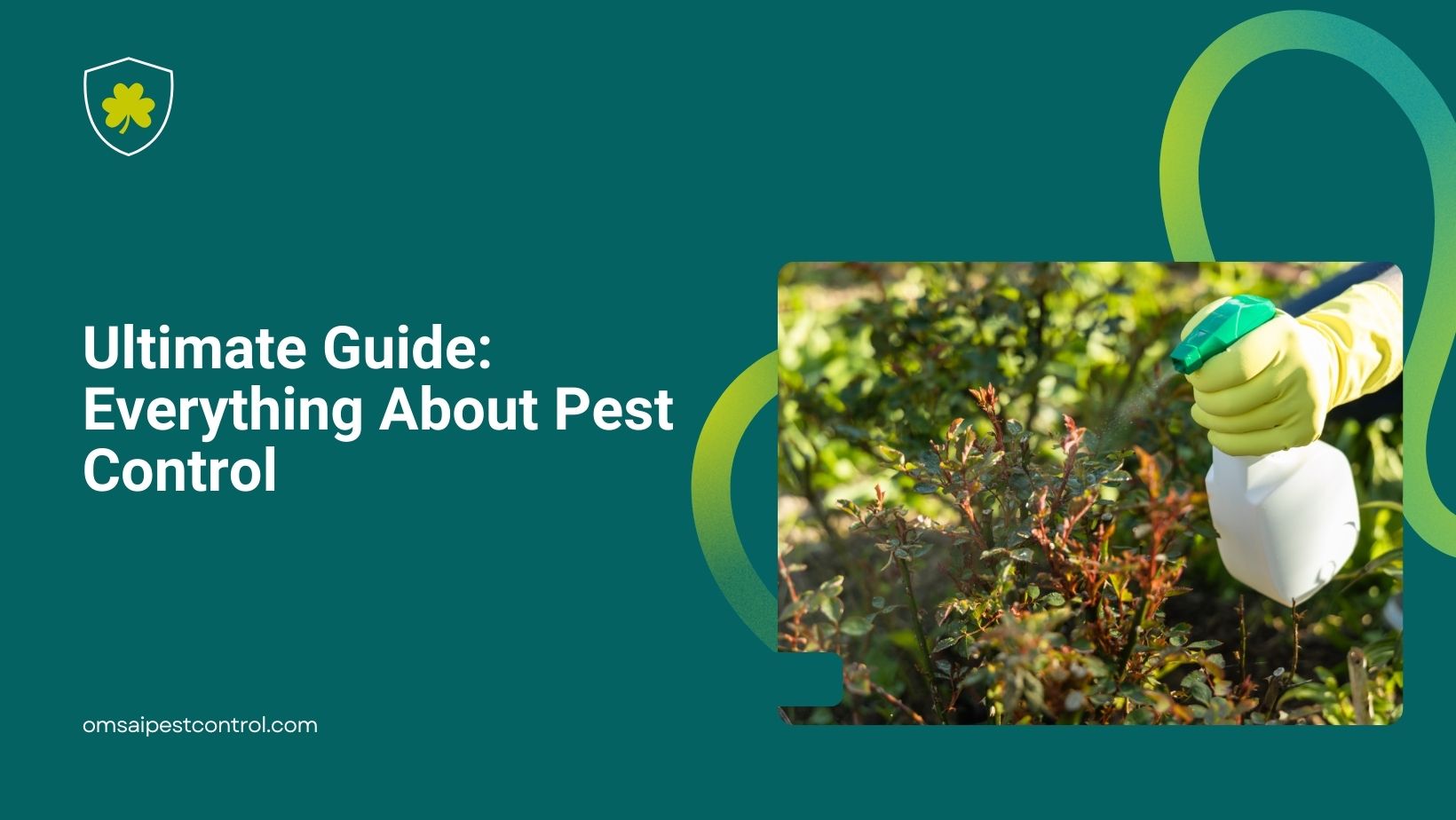 Ultimate Guide: Everything About Pest Control