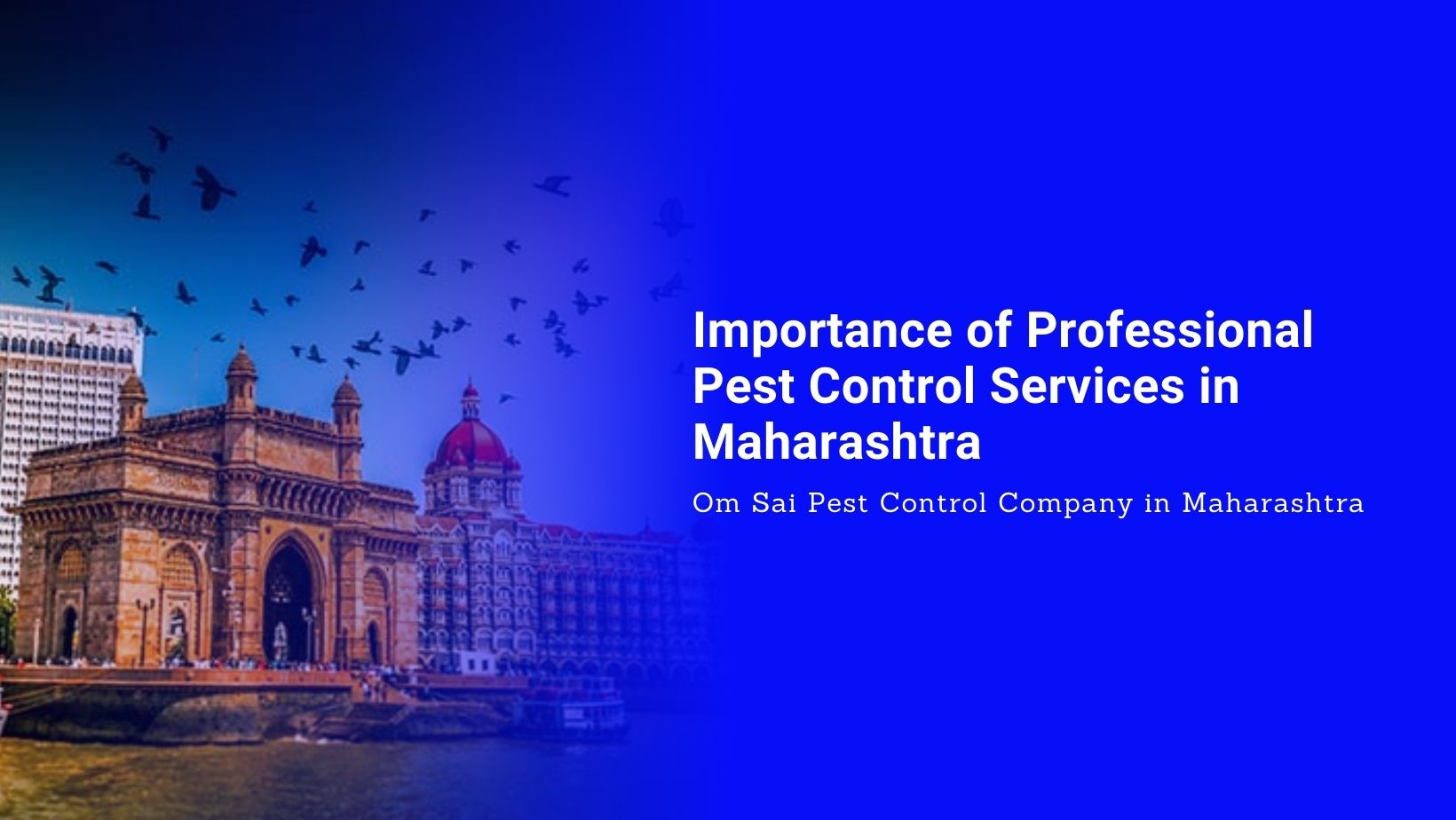 Professional Pest Control Services in Maharashtra