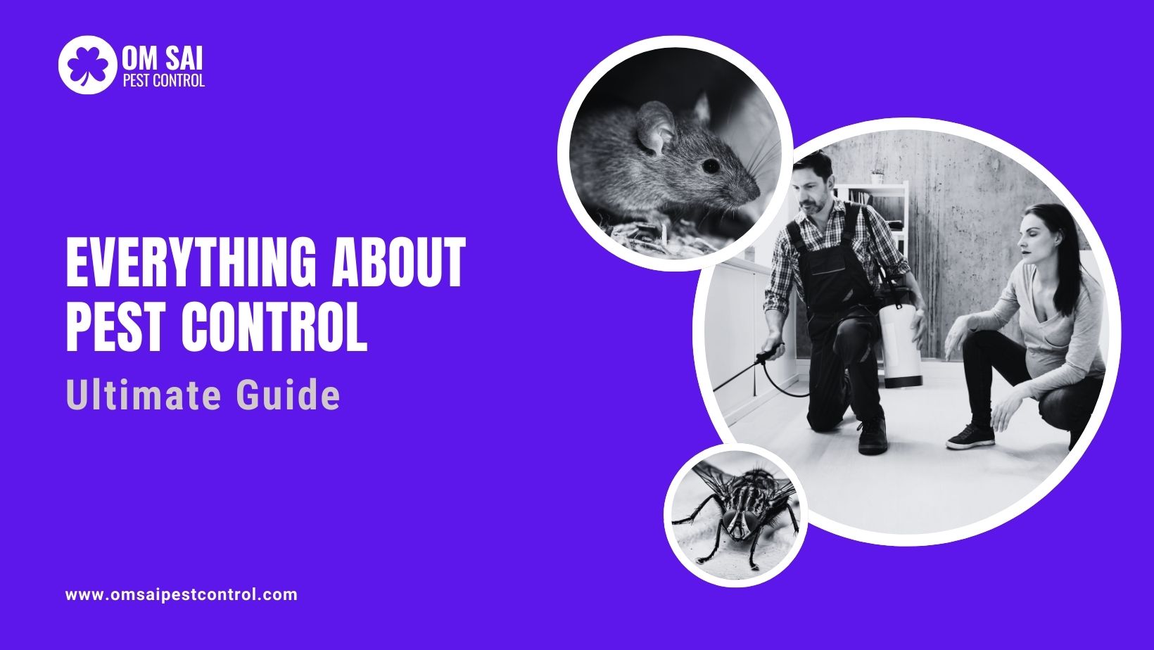 Ultimate Guide: Everything About Pest Control